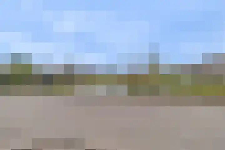 Jazzsingel 6 Terneuzen thumbnail 43