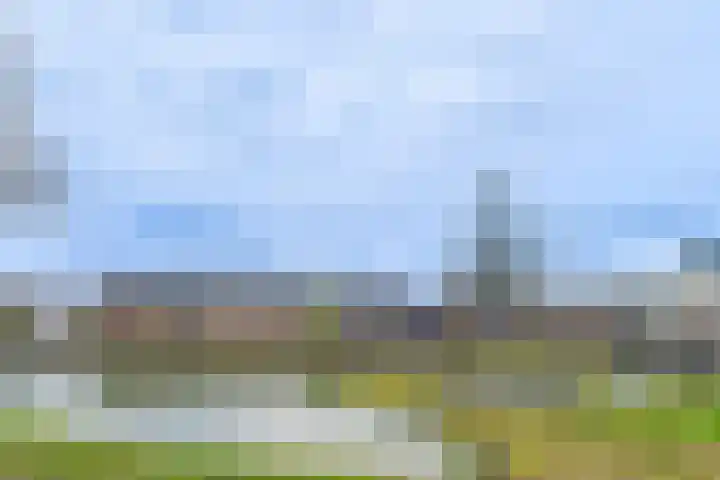 Jazzsingel 6 Terneuzen thumbnail 6