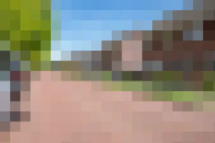 JC van Andelweg 4 b 01 Staphorst thumbnail 22