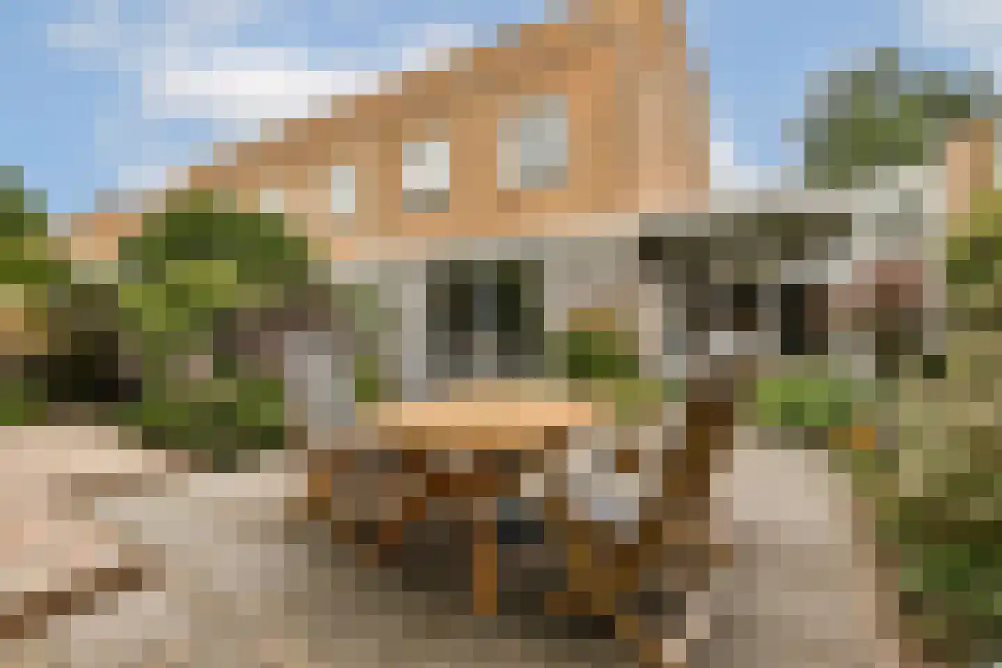 Jean Augierstraat 41 Rotterdam thumbnail 19