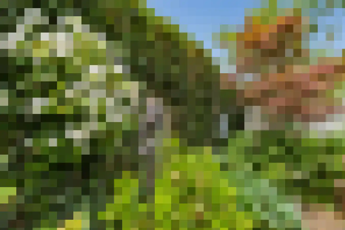 Jean Desmetstraat 1 Almere thumbnail 38