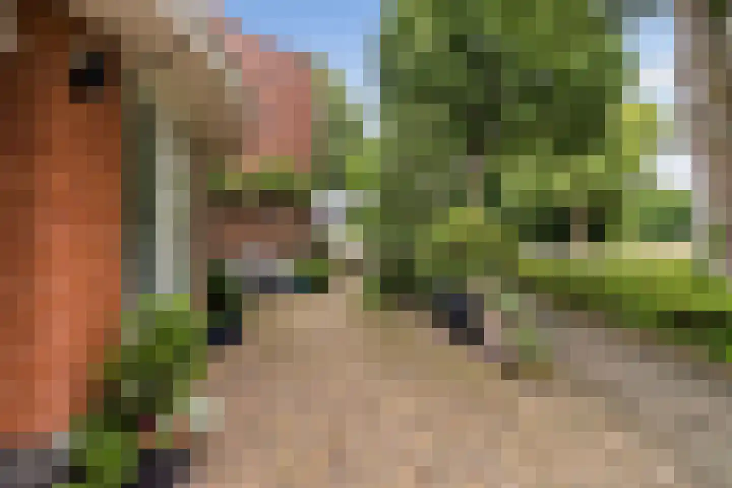 Jean Desmetstraat 1 Almere thumbnail 47