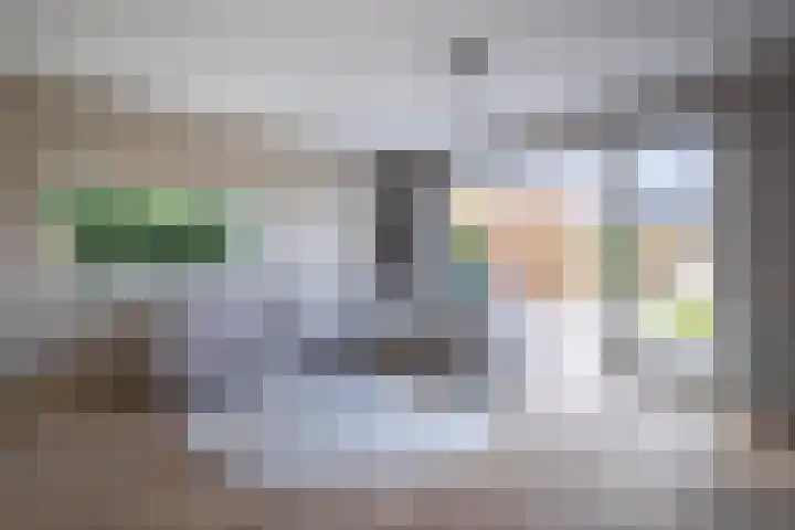 Jean Dulieustraat 6 Duiven thumbnail 17