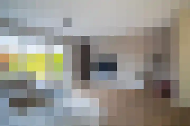 Jean Dulieustraat 6 Duiven thumbnail 18