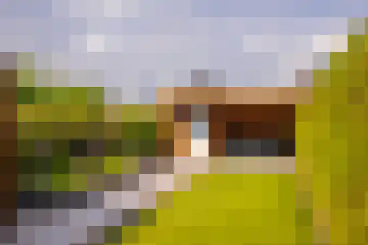 Jean Dulieustraat 6 Duiven thumbnail 21