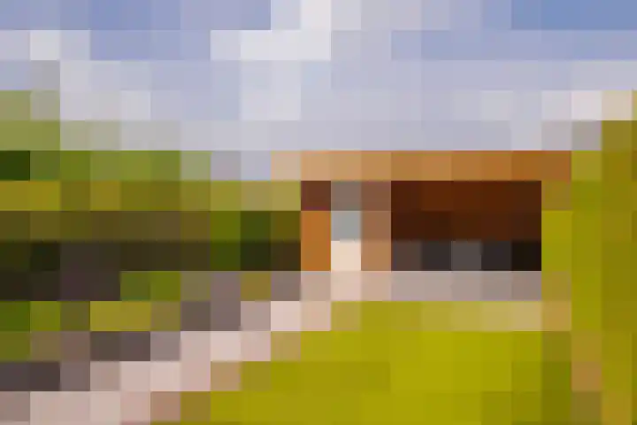 Jean Dulieustraat 6 Duiven thumbnail 23
