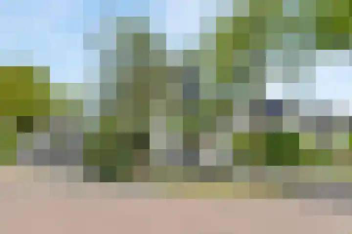Jean Gabinplantsoen 18 Almere thumbnail 4