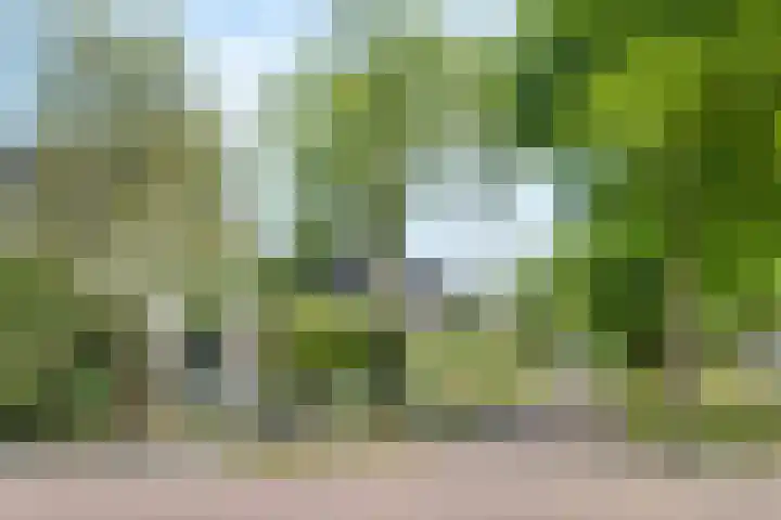 Jean Gabinplantsoen 18 Almere thumbnail 5