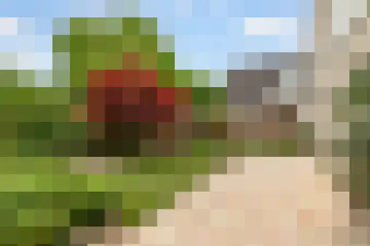 Jean Gabinplantsoen 8 Almere thumbnail 5