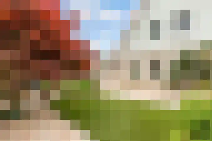 Jean Gabinplantsoen 8 Almere thumbnail 51