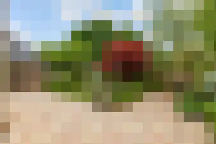 Jean Gabinplantsoen 8 Almere thumbnail 55