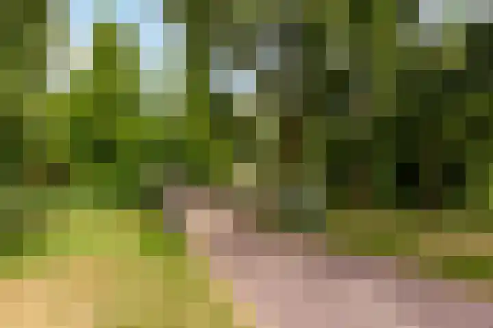 Jean Gabinplantsoen 8 Almere thumbnail 68