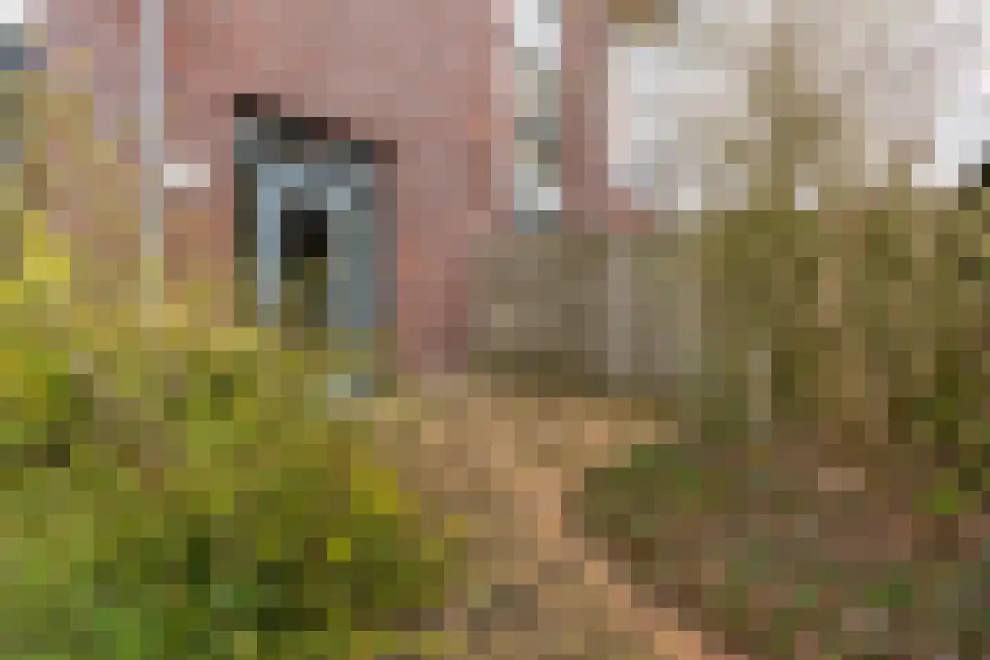 Jean Gilbertlaan 26 Utrecht thumbnail 22