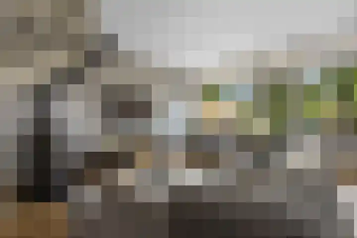 Jean Gilbertlaan 26 Utrecht thumbnail 26