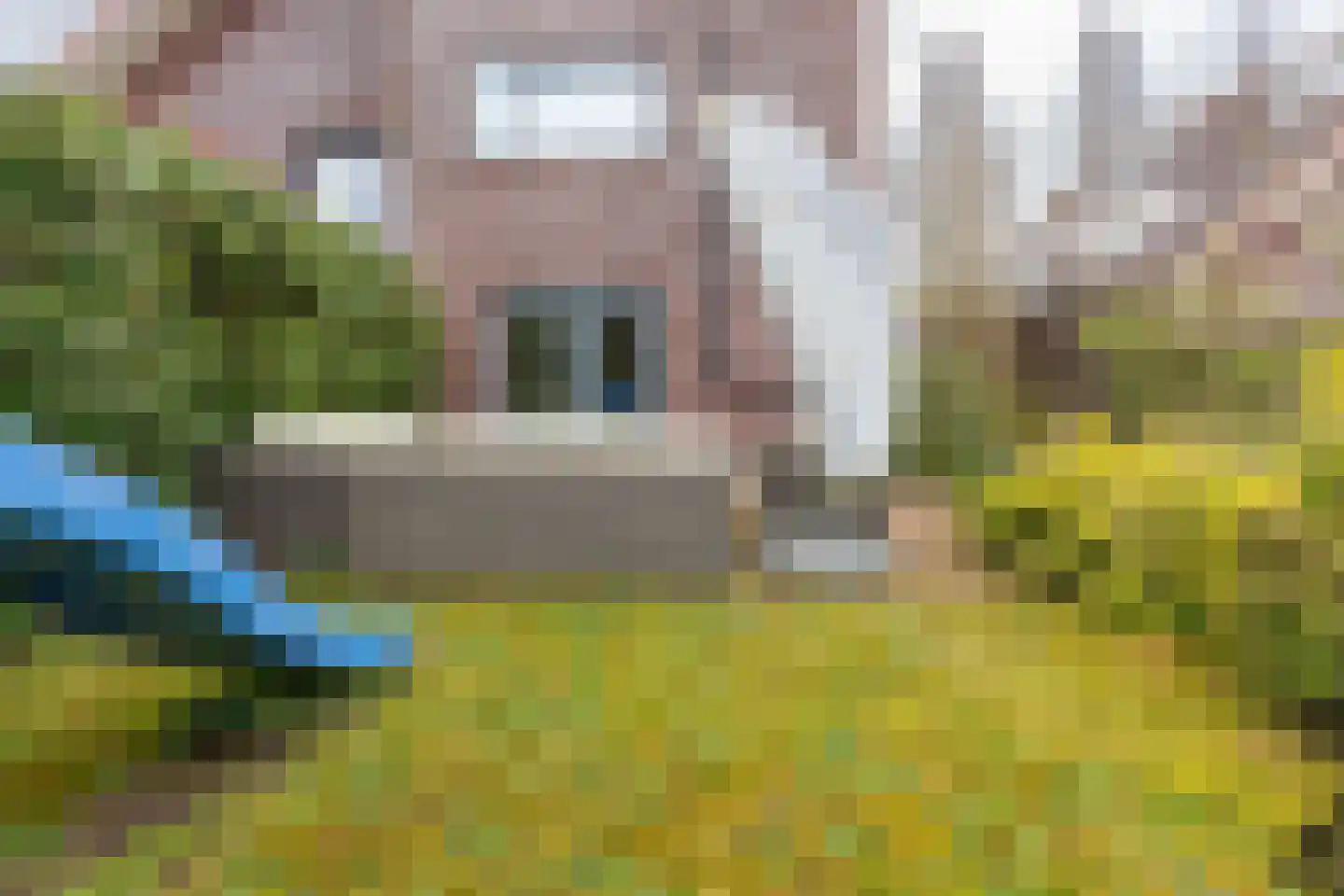 Jean Gilbertlaan 26 Utrecht thumbnail 32