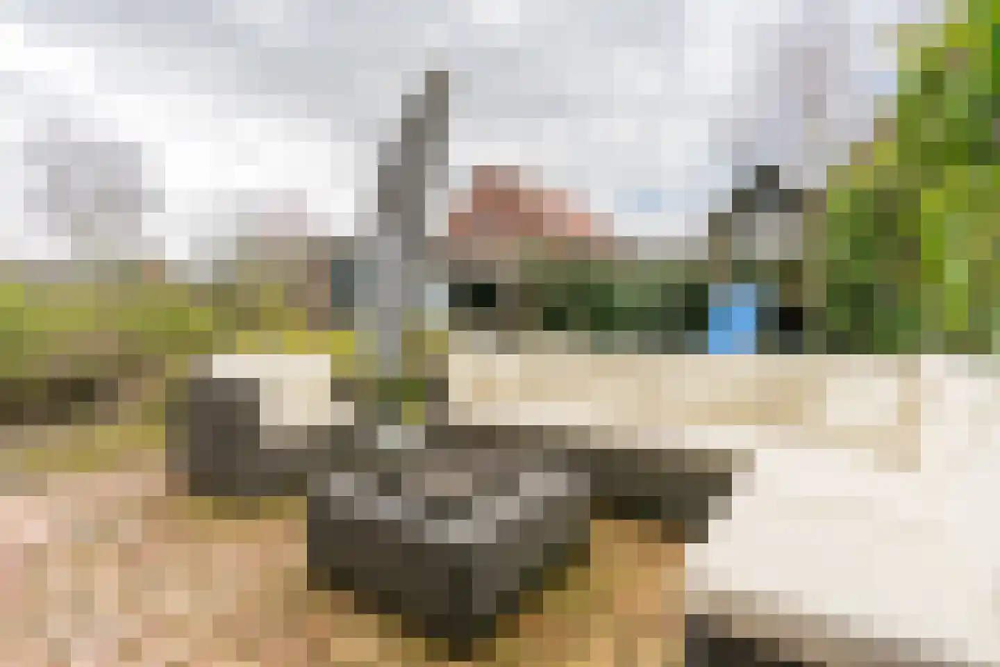 Jean Gilbertlaan 26 Utrecht thumbnail 4