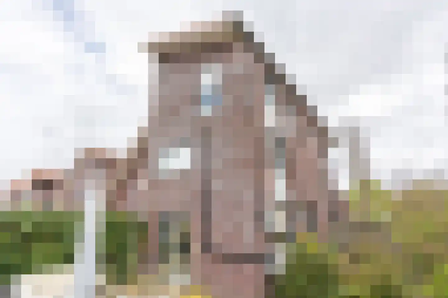 Jean Gilbertlaan 26 Utrecht thumbnail 80