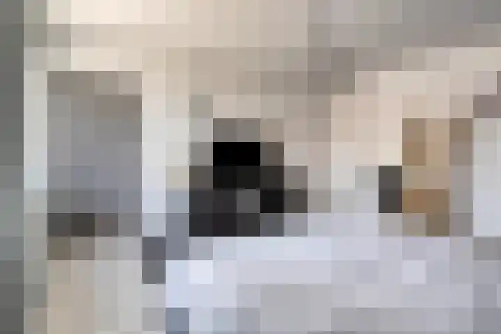 Jean Gilbertlaan 26 Utrecht thumbnail 87