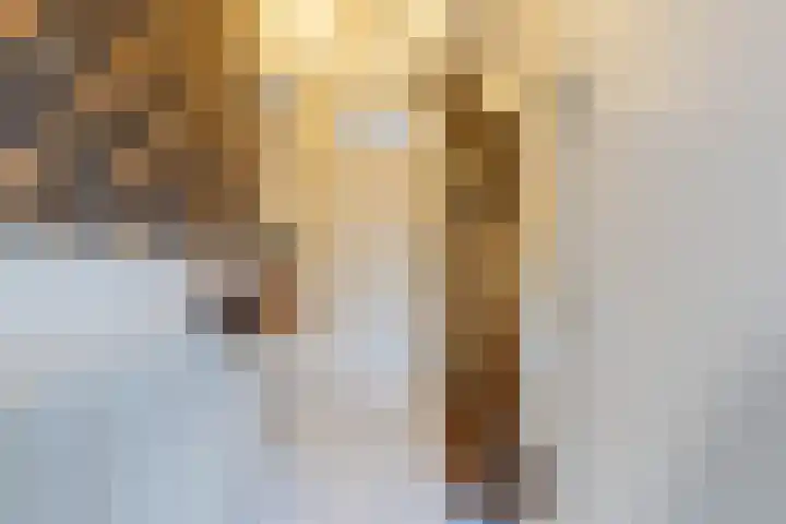 Jean Henri Dunantstraat 20 Krommenie thumbnail 13
