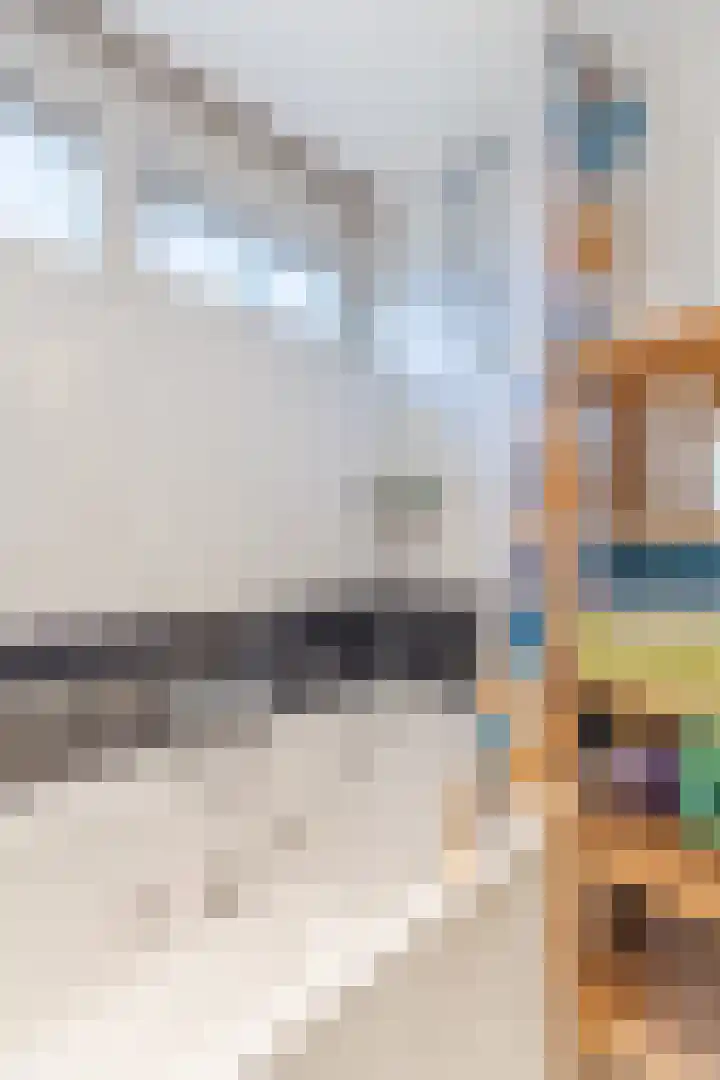 Jean Henri Dunantstraat 20 Krommenie thumbnail 23