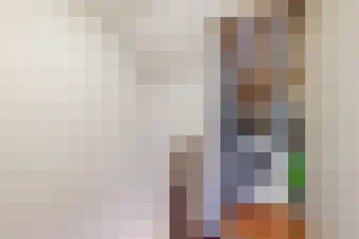 Jean Henri Dunantstraat 20 Krommenie thumbnail 26