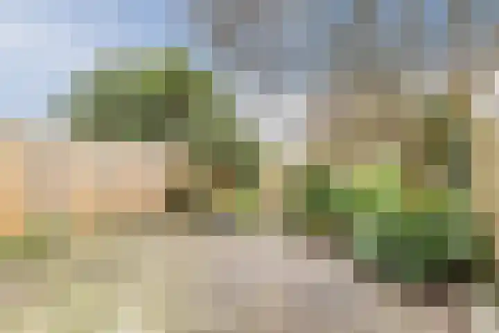 Jean Henri Dunantstraat 20 Krommenie thumbnail 27
