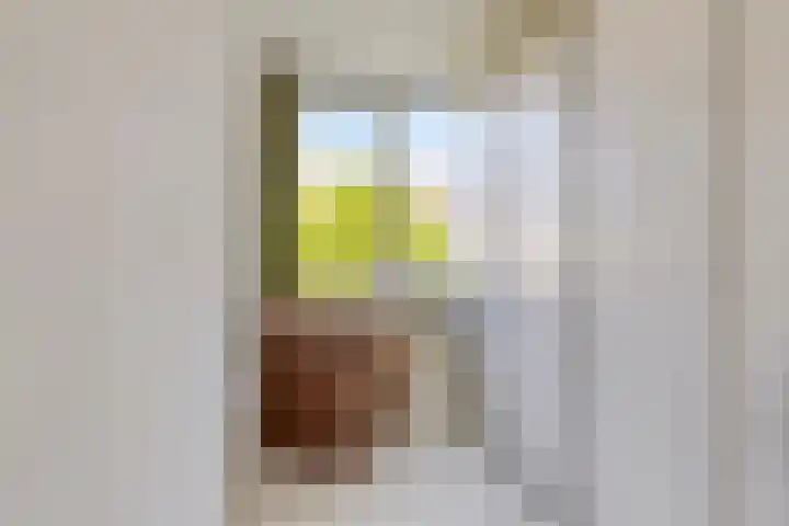 Jean Henri Dunantstraat 23 Krommenie thumbnail 19