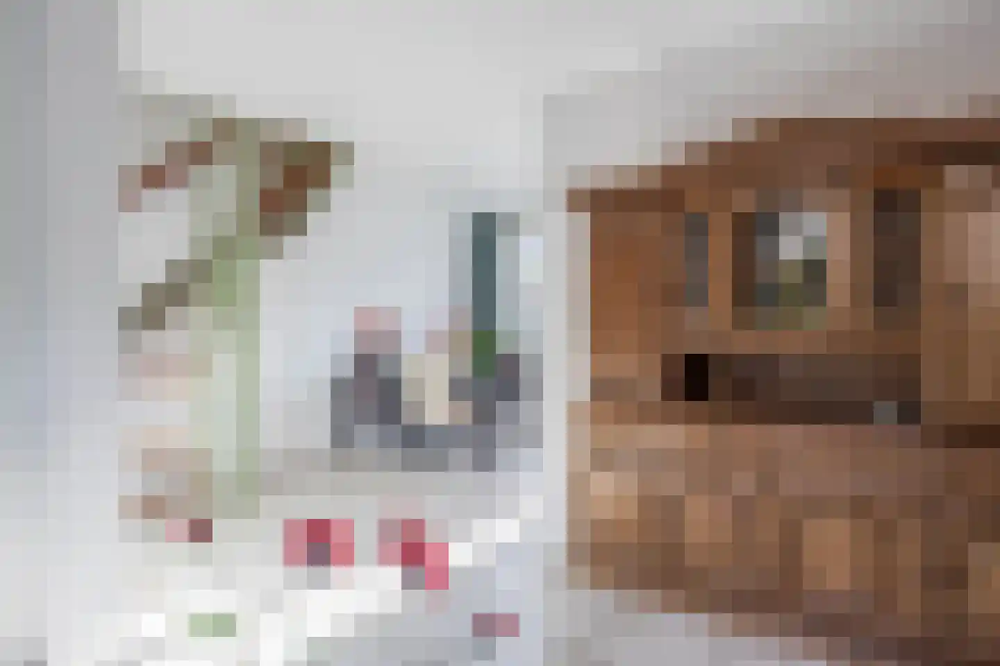 Jean Henri Dunantstraat 27 Krommenie thumbnail 16
