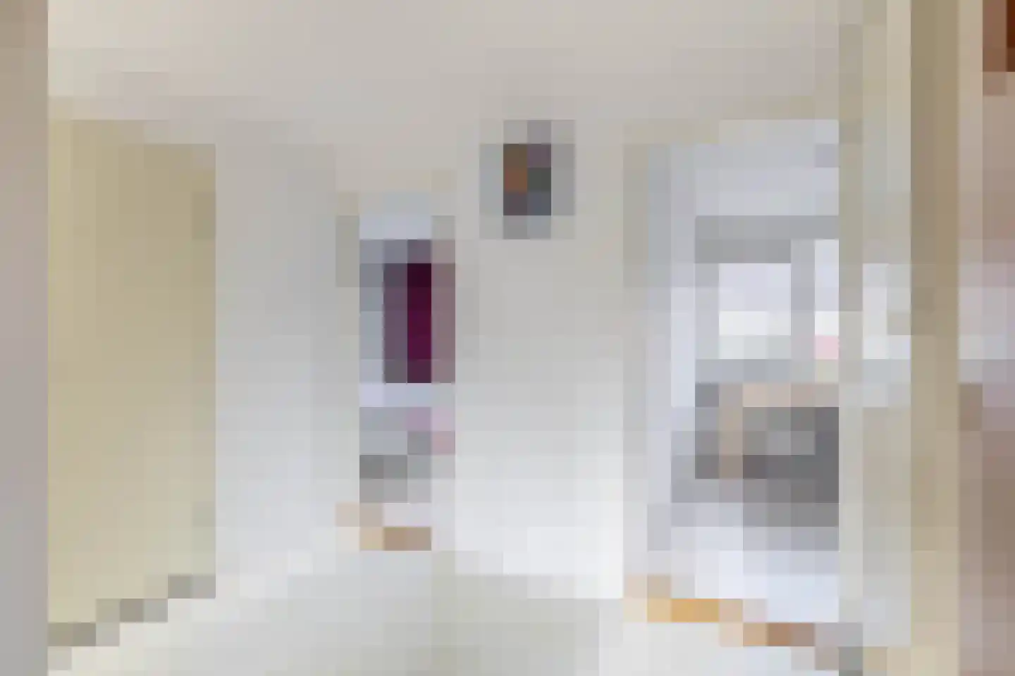 Jean Henri Dunantstraat 27 Krommenie thumbnail 25