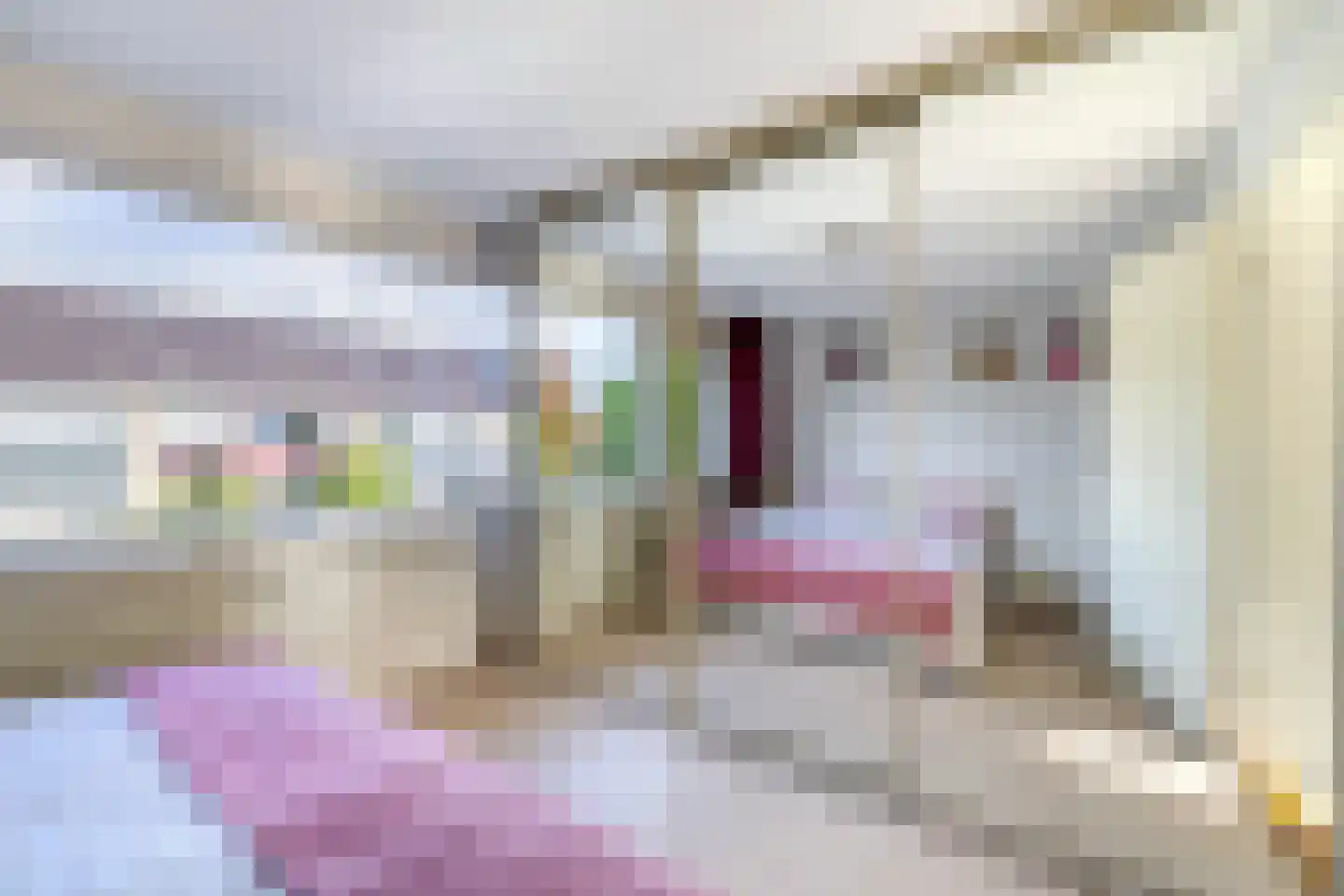 Jean Henri Dunantstraat 27 Krommenie thumbnail 26