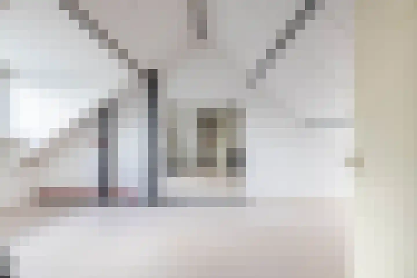 Jean Henri Dunantstraat 27 Krommenie thumbnail 7