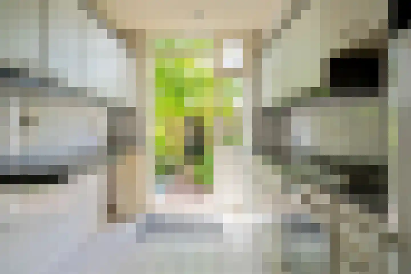 Jean Henri Dunantstraat 30 Krommenie thumbnail 13