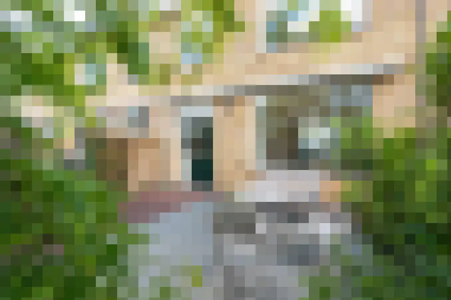 Jean Henri Dunantstraat 30 Krommenie thumbnail 18