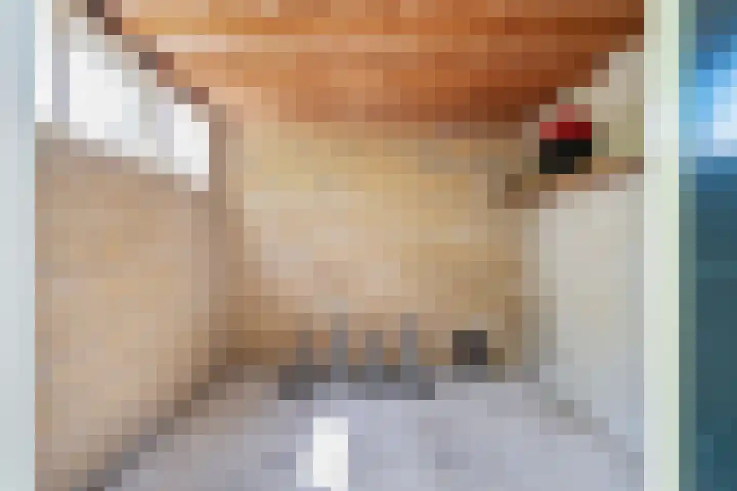 Jean Henri Dunantstraat 30 Krommenie thumbnail 37