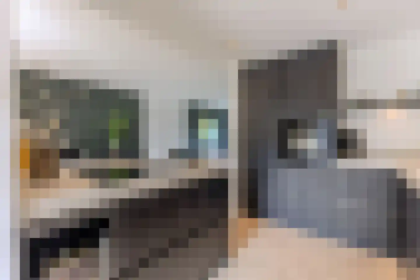 Jean Henri Dunantstraat 48 Krommenie thumbnail 11