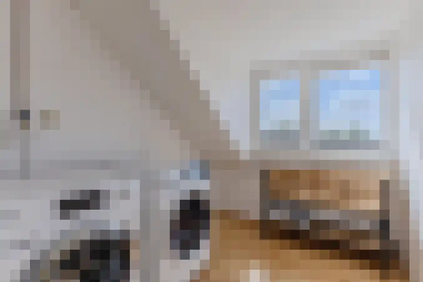 Jean Henri Dunantstraat 48 Krommenie thumbnail 26