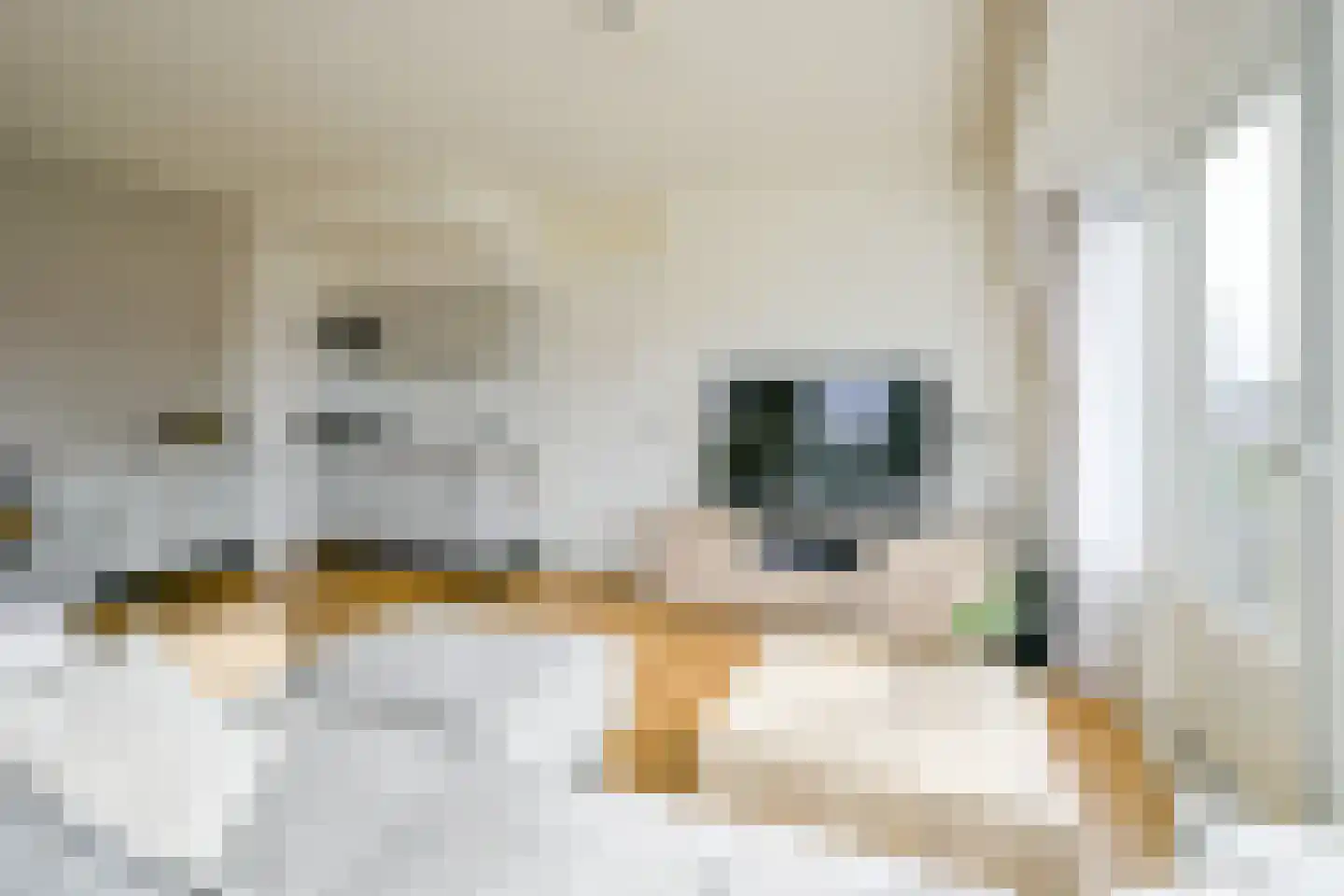Jean Henri Dunantstraat 76 B Krommenie thumbnail 6