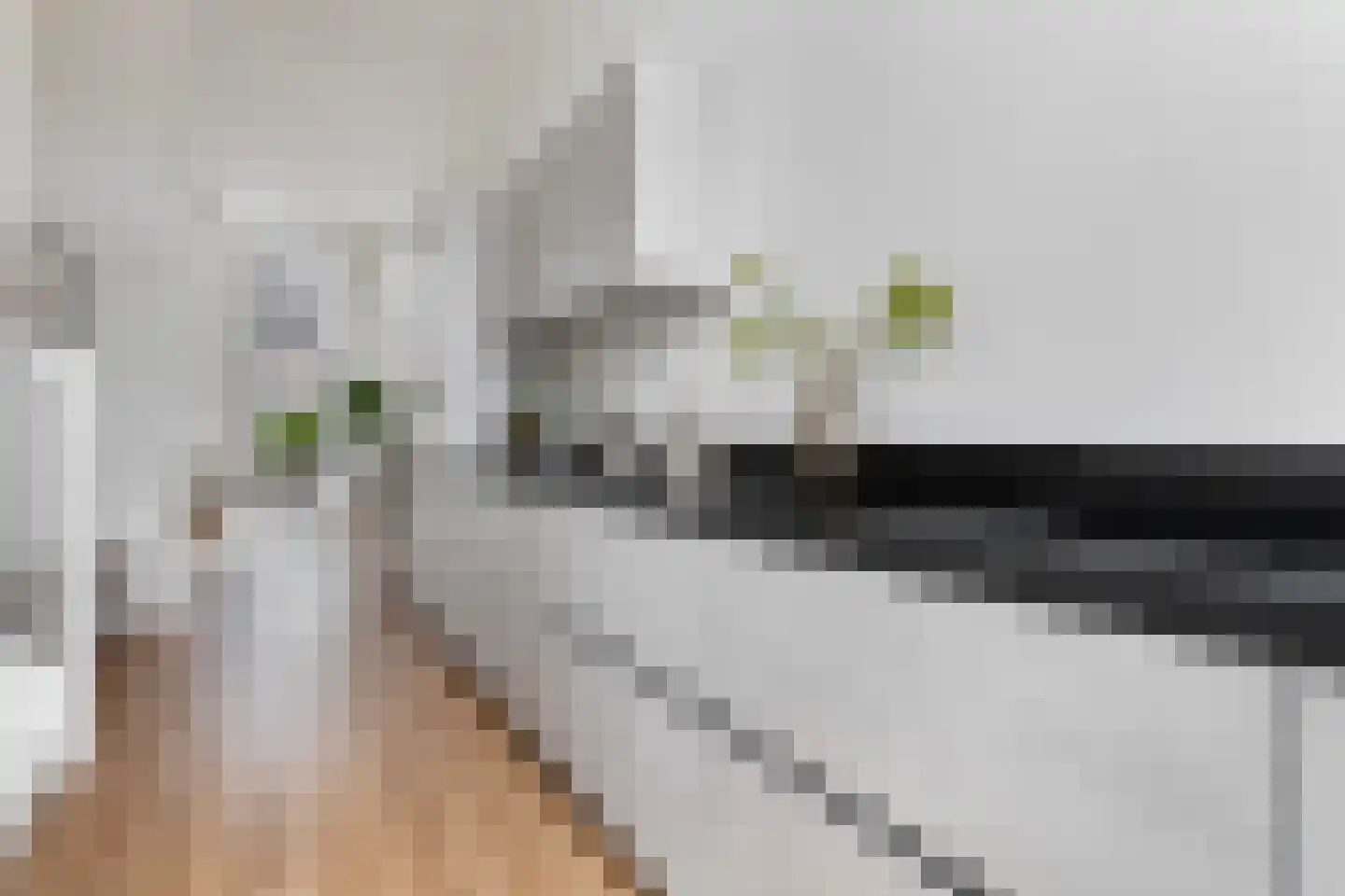 Jean Jonxisstraat 9 Rotterdam thumbnail 11
