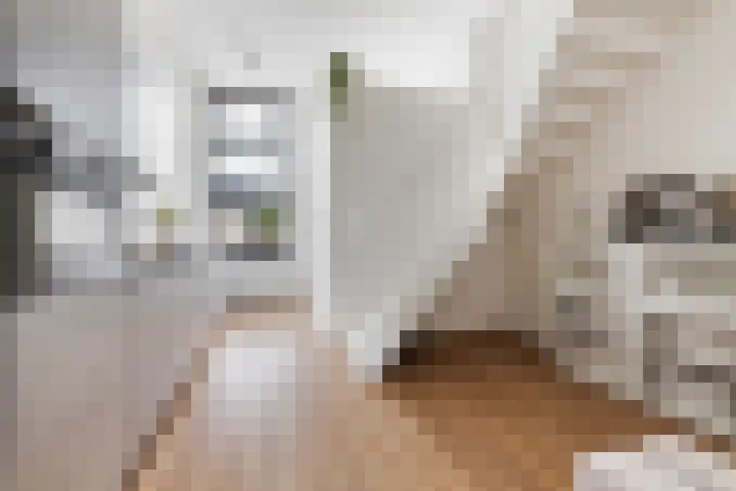 Jean Jonxisstraat 9 Rotterdam thumbnail 12