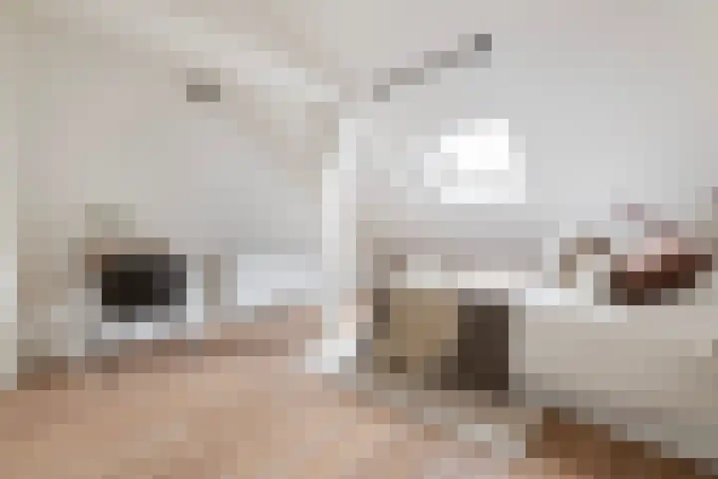 Jean Jonxisstraat 9 Rotterdam thumbnail 18