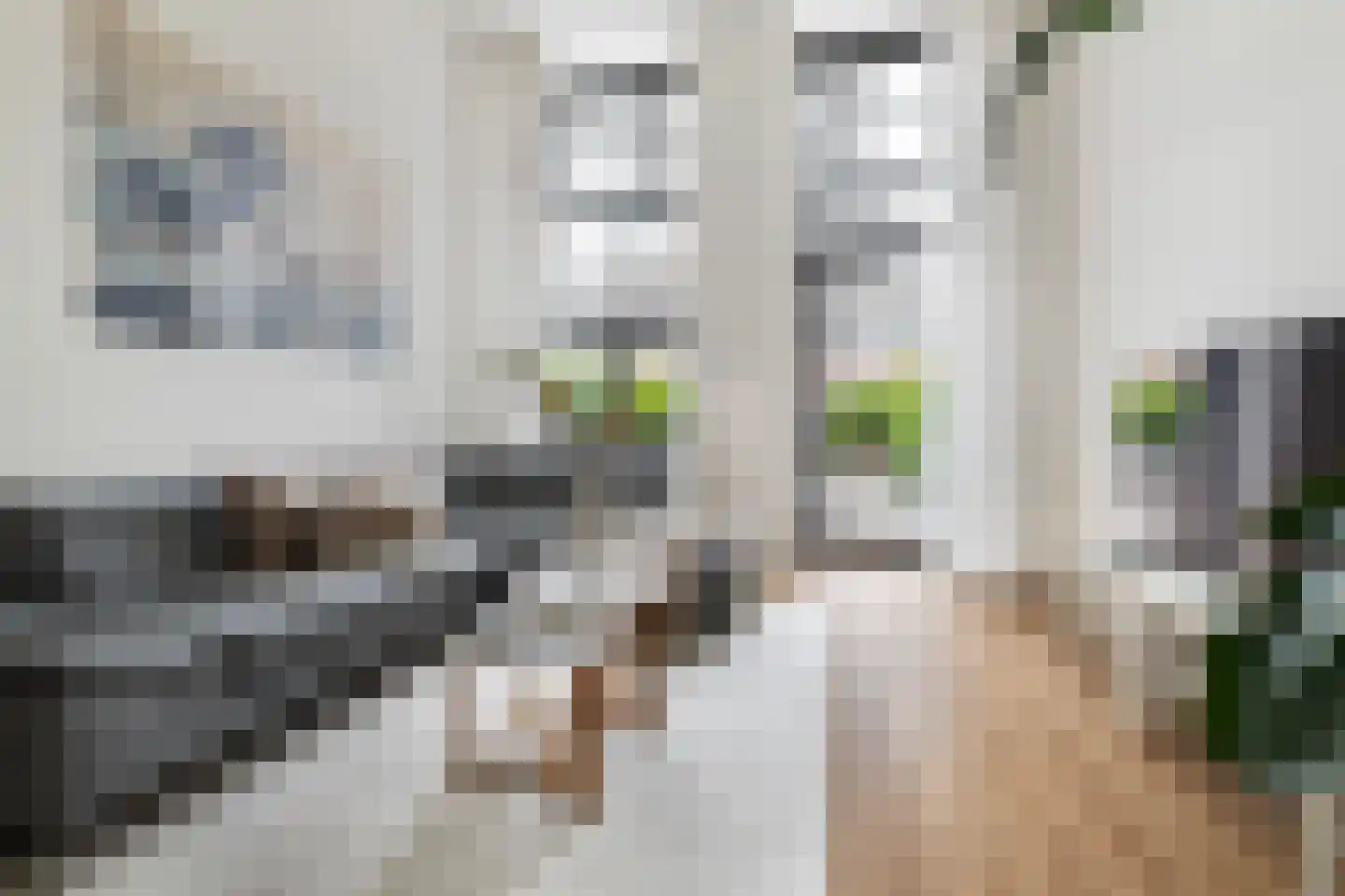 Jean Jonxisstraat 9 Rotterdam thumbnail 4