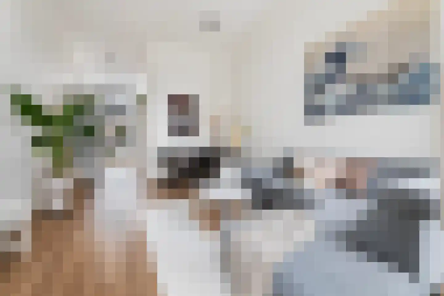 Jean Jonxisstraat 9 Rotterdam thumbnail 6