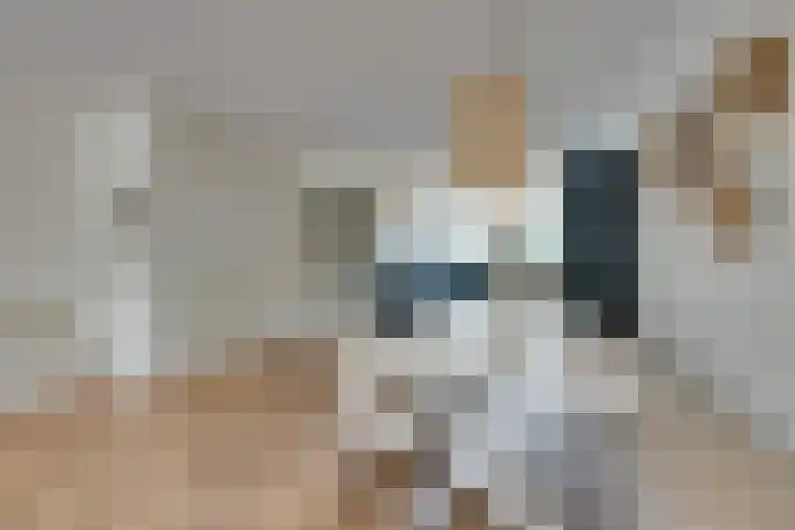 Jean Lotenpad 23 Middenbeemster thumbnail 11