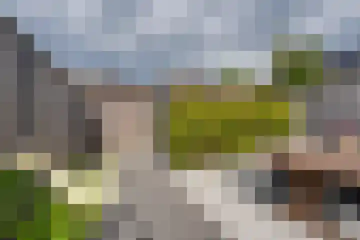 Jean Lotenpad 23 Middenbeemster thumbnail 24