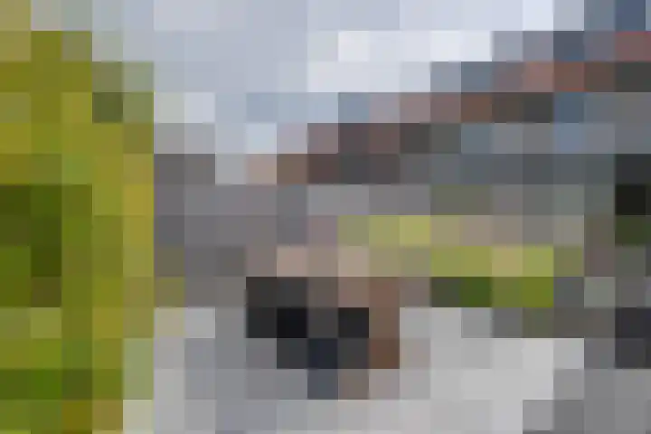 Jean Lotenpad 23 Middenbeemster thumbnail 25