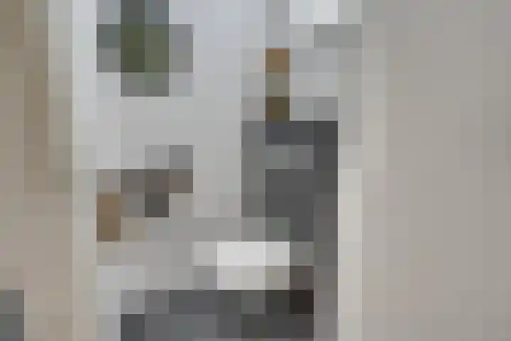 Jean Lotenpad 23 Middenbeemster thumbnail 29