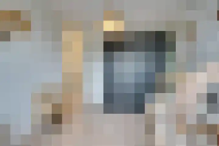 Jean Lotenpad 23 Middenbeemster thumbnail 33