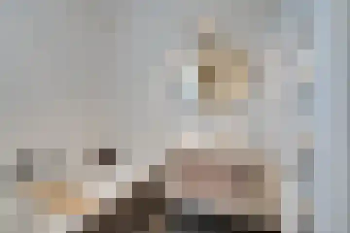 Jean Lotenpad 23 Middenbeemster thumbnail 41
