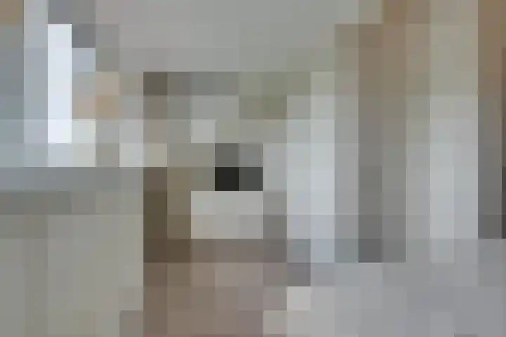 Jean Lotenpad 23 Middenbeemster thumbnail 47
