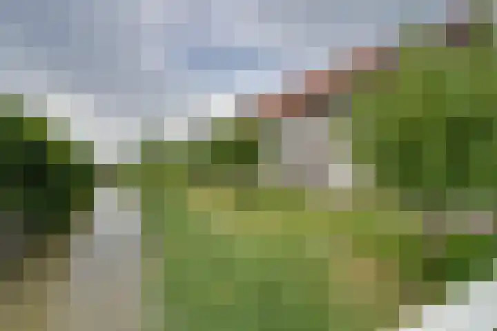Jean Lotenpad 23 Middenbeemster thumbnail 50